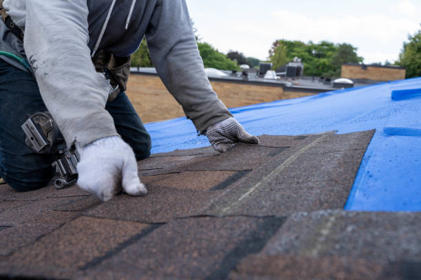 Best Emergency Roof Repair  in Blue Grass, IA