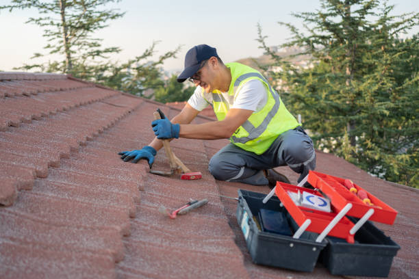 Best Roof Waterproofing Services  in Blue Grass, IA
