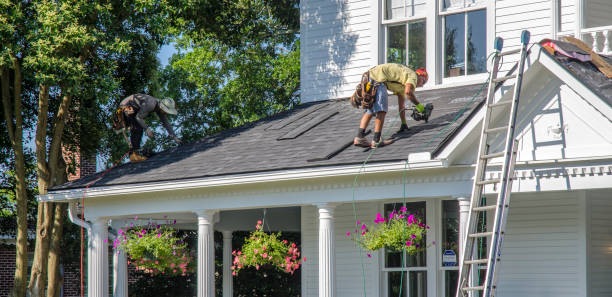 Best Roof Gutter Cleaning  in Blue Grass, IA