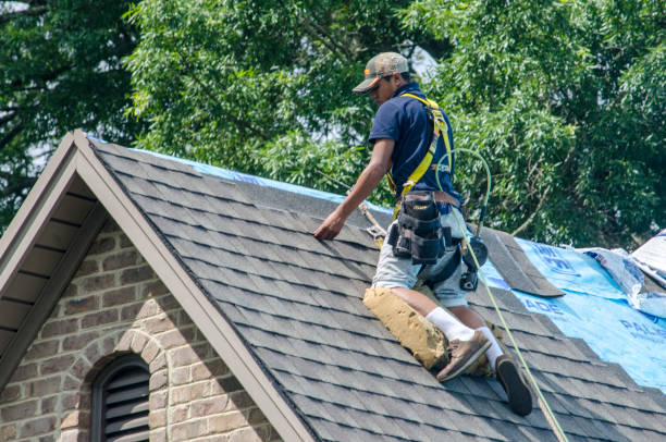Best Affordable Roofing Company  in Blue Grass, IA
